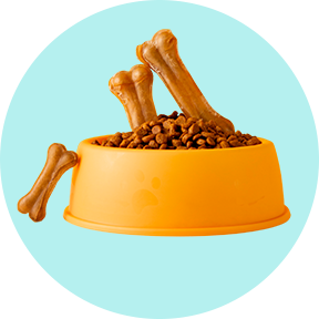 Alimentos